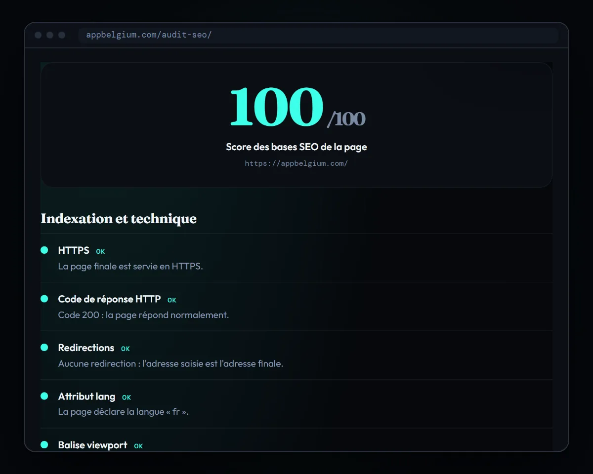 Résultat réel de l'outil d'audit SEO d'AppBelgium sur appbelgium.com : score de 100 sur 100 et contrôles d'indexation